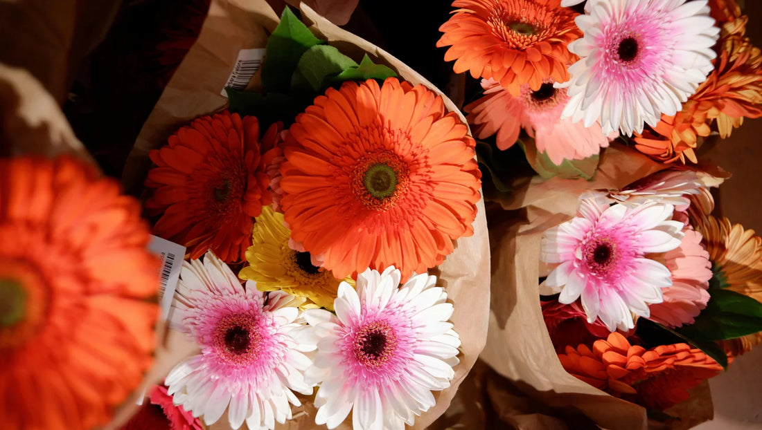 Why Sending Flowers at New Year Feels So Meaningful