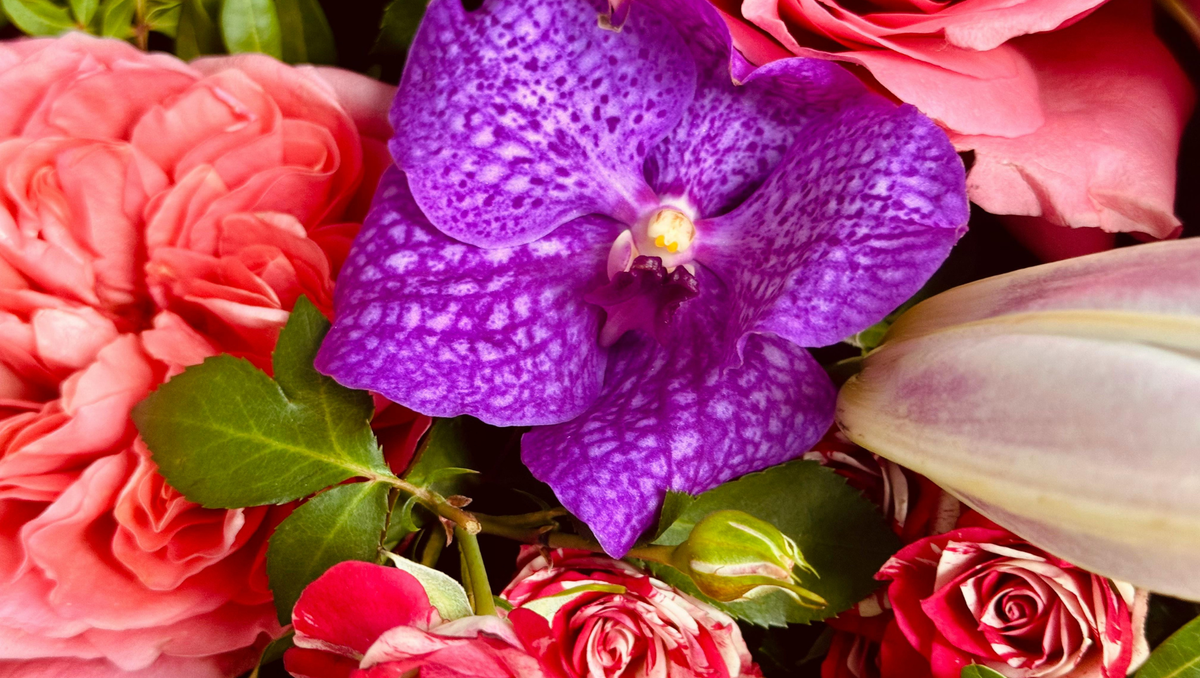 New Year Flower Gift Guide 2026