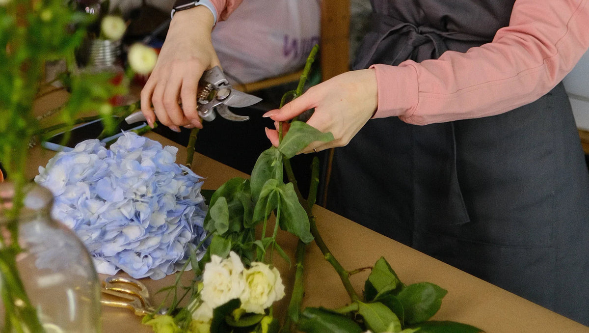 Florist arranging flowers with pruning shears and hydrangea on table in floral workshop
