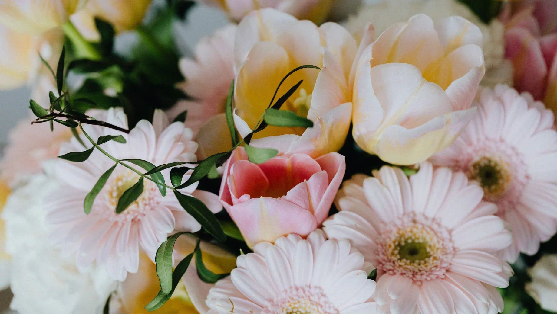 Send Love Across Borders: How to Send Mother's Day Flowers in Thailand from Abroad Easily - BestBloomBuddy