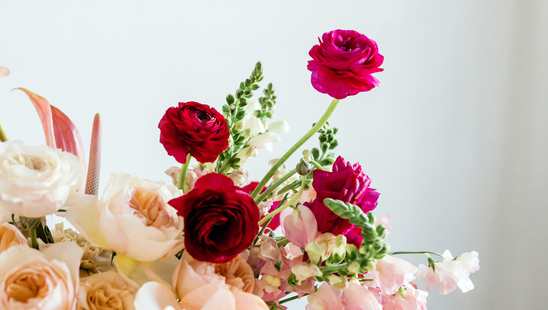 Close-up of mixed fresh flowers including deep red ranunculus and soft pink roses against a light background
