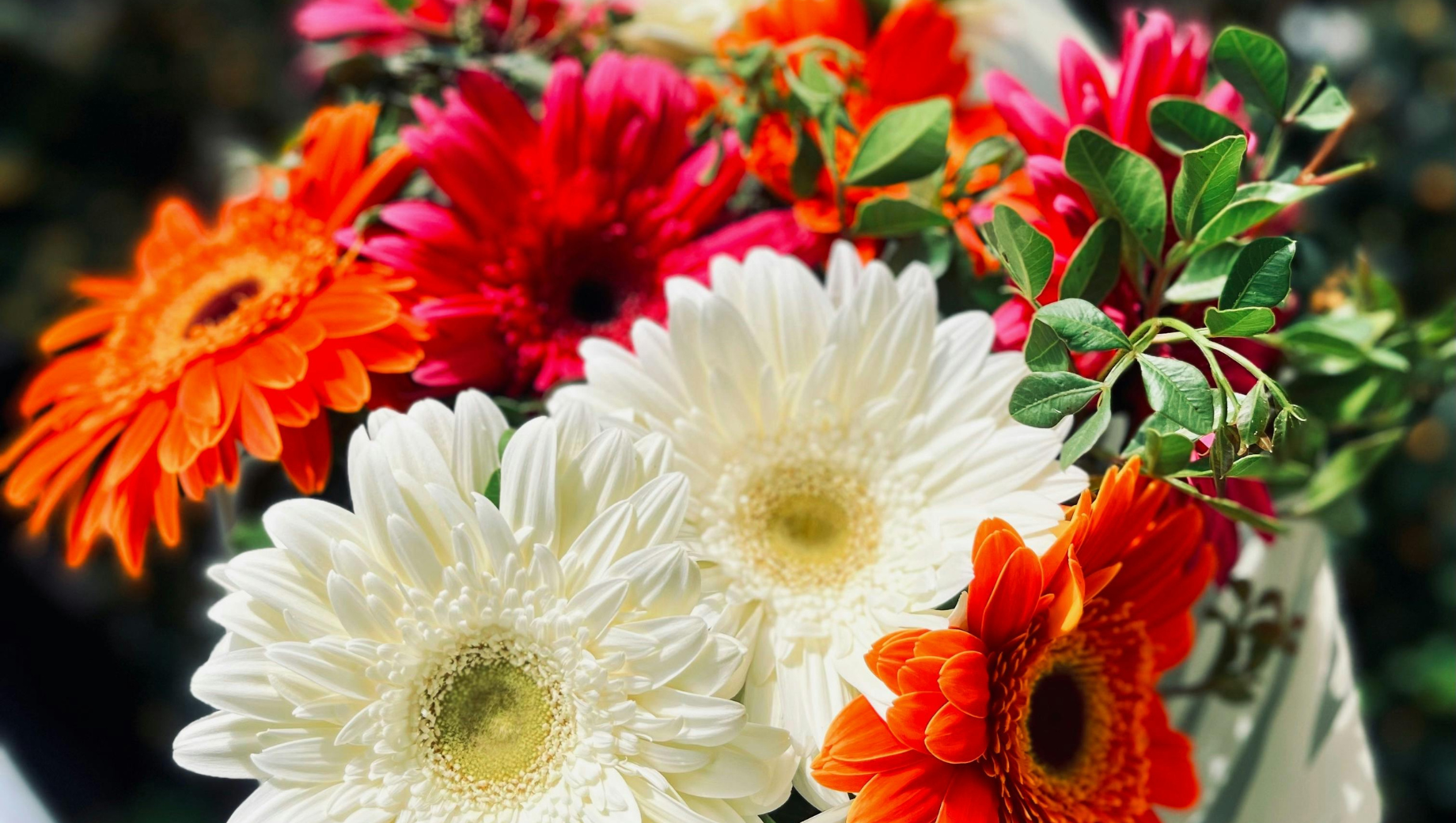 Same-Day Flower Delivery in Bangkok: How It Works & Tips for Foreigners