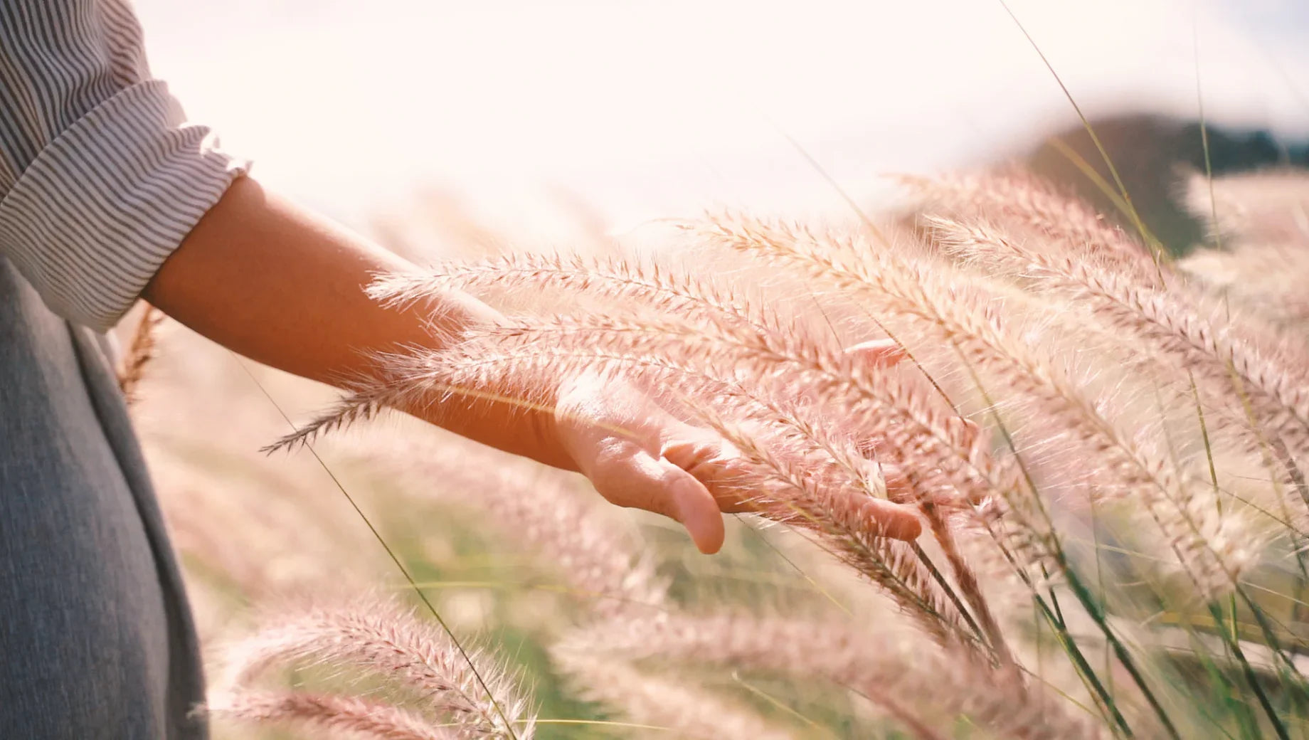 The Charm of Grasses in Floral Arrangements – BestBloomBuddy