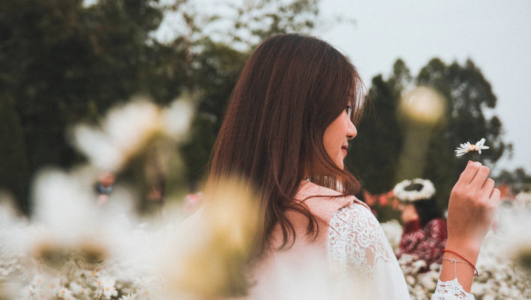 Woman in white lace blouse holding a daisy flower in a blooming flower field