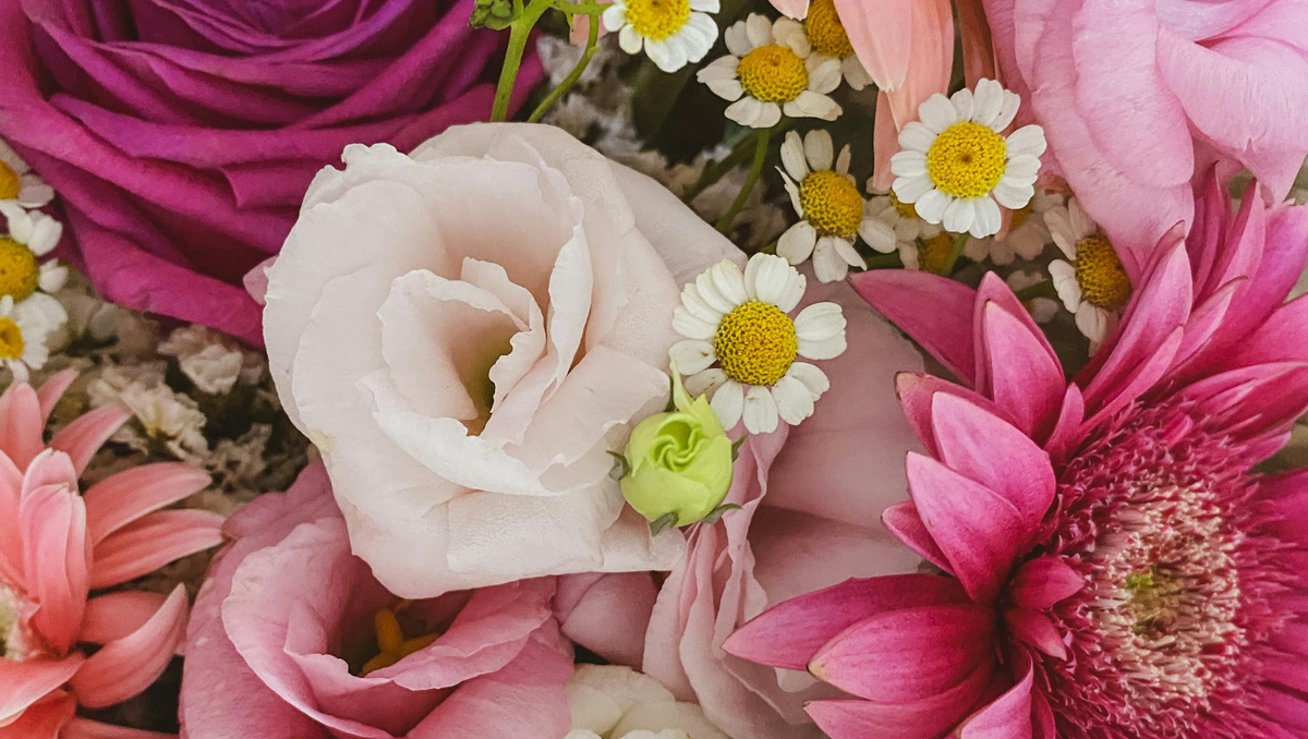 How to Send International Women’s Day Flowers to Thailand (Step-by-Step Guide)