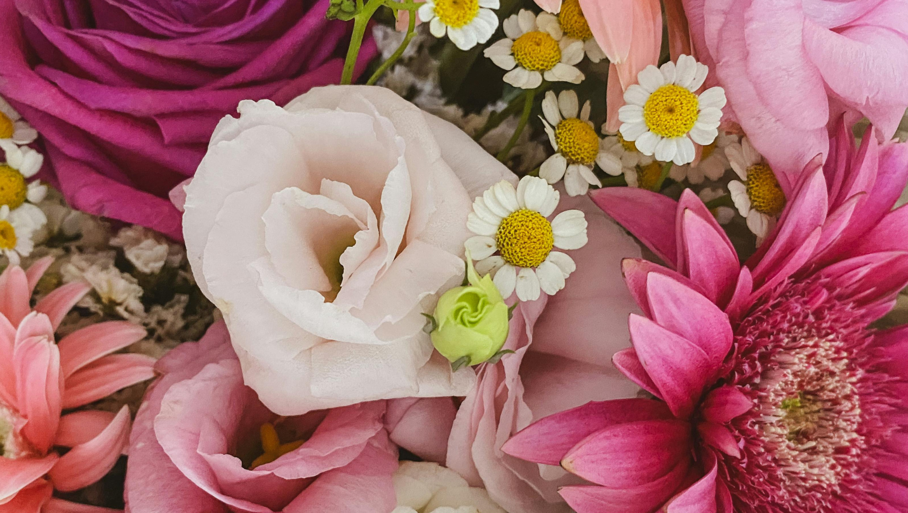 How to Send International Women’s Day Flowers to Thailand (Step-by-Step Guide)