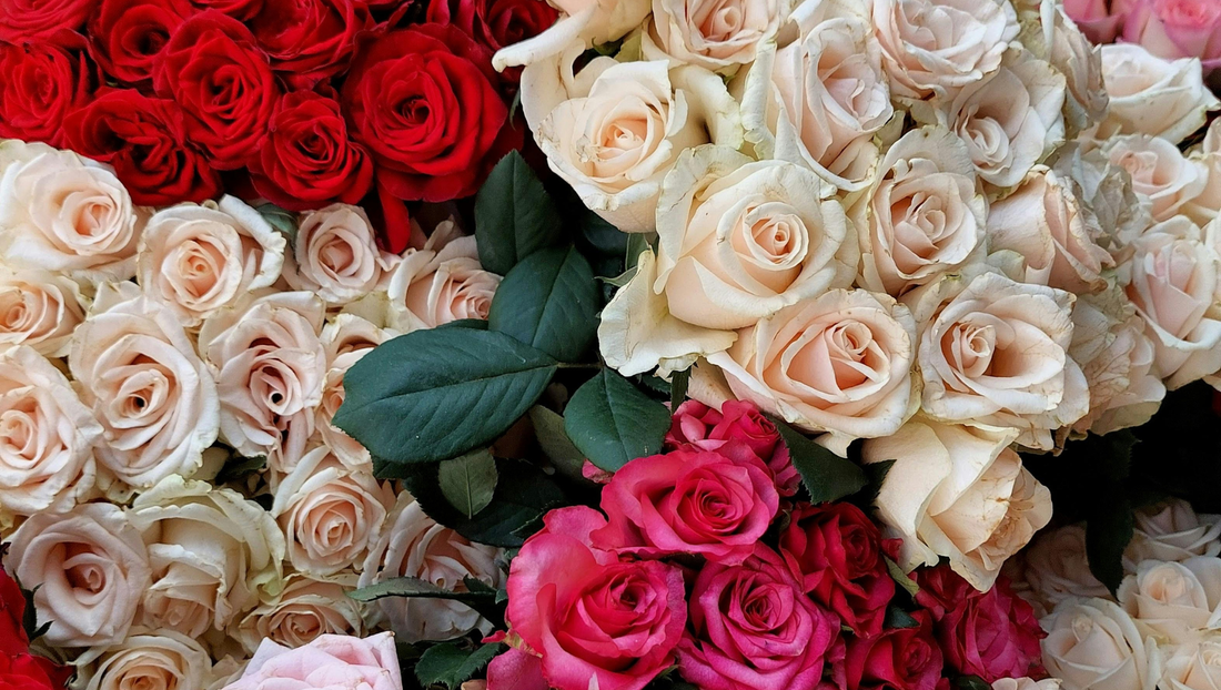 Why Flower Prices Rise Before Valentine’s Day: What Happens Behind the Scenes
