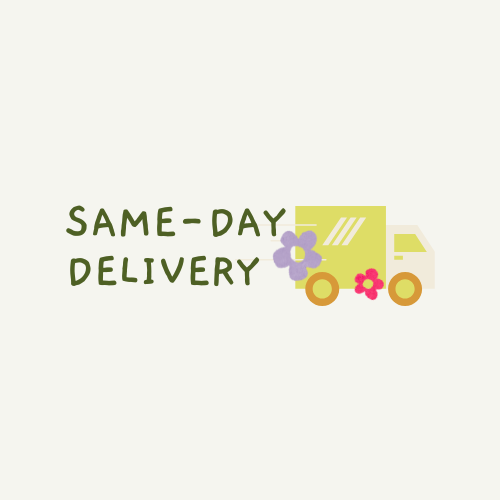 Same-Day Delivery Collection - BestBloomBuddy