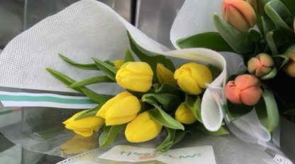 Timeless Tulips - 30 Tulips in Flower Vase - BestBloomBuddy