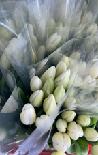 Timeless Tulips - 30 Tulips in Flower Vase - BestBloomBuddy