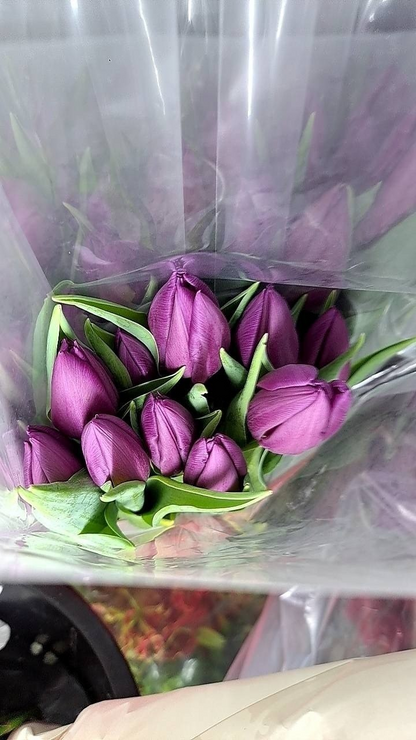 Timeless Tulips - 30 Tulips in Flower Vase - BestBloomBuddy