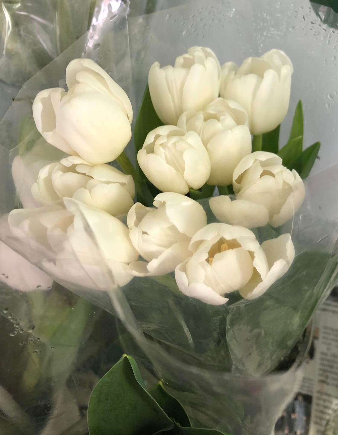 Timeless Tulips - 30 Tulips in Flower Vase - BestBloomBuddy