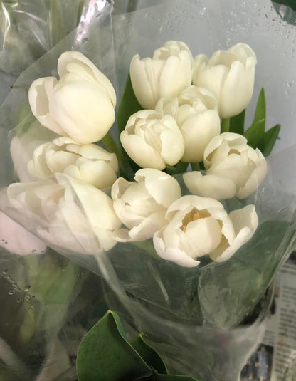 Timeless Tulips - 30 Tulips in Flower Vase - BestBloomBuddy