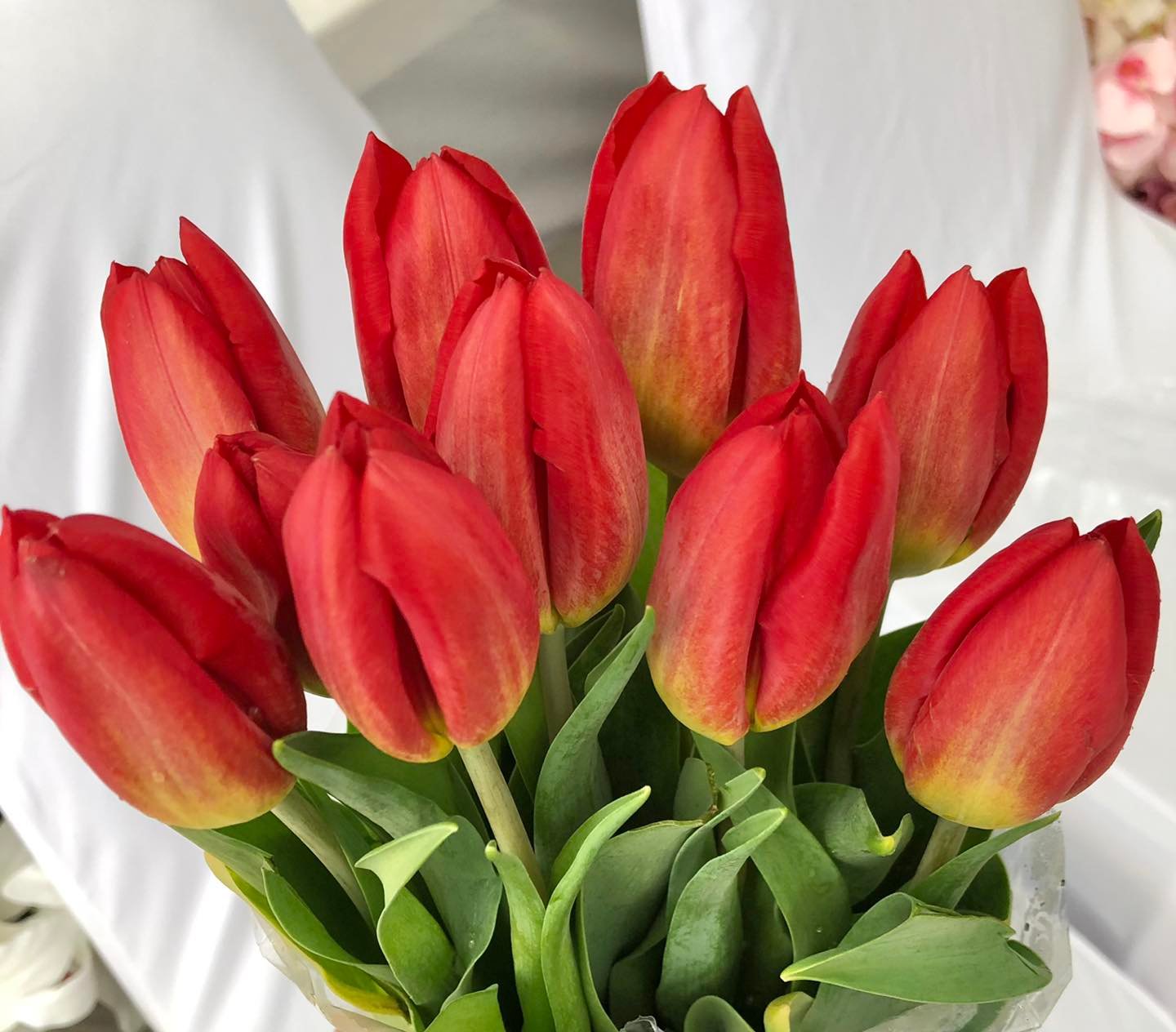 Timeless Tulips - 30 Tulips in Flower Vase - BestBloomBuddy