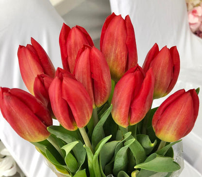 Timeless Tulips - 30 Tulips in Flower Vase - BestBloomBuddy