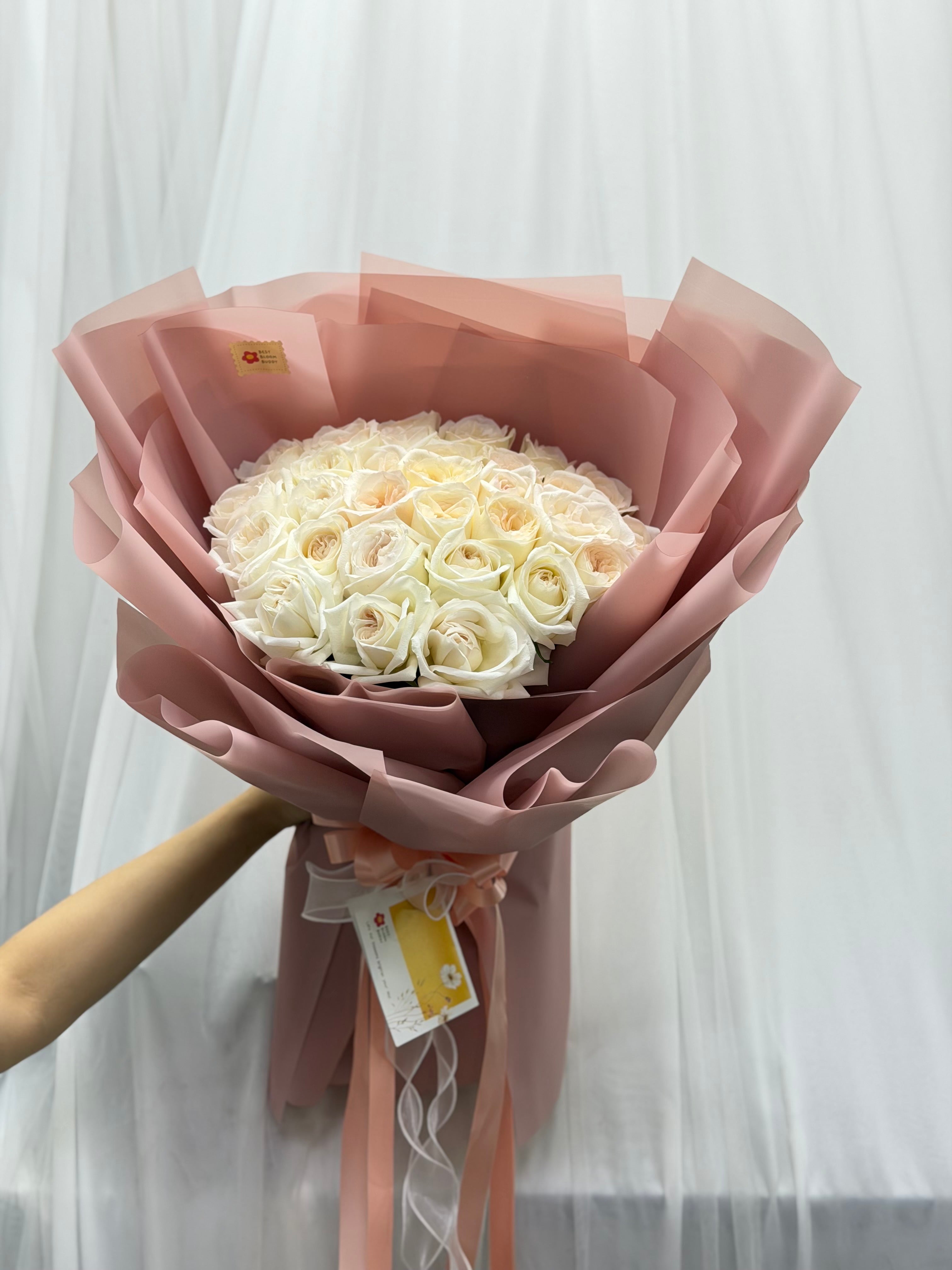 Rosy Kiss – 30 White Peony Roses (Garden Roses) - BestBloomBuddy