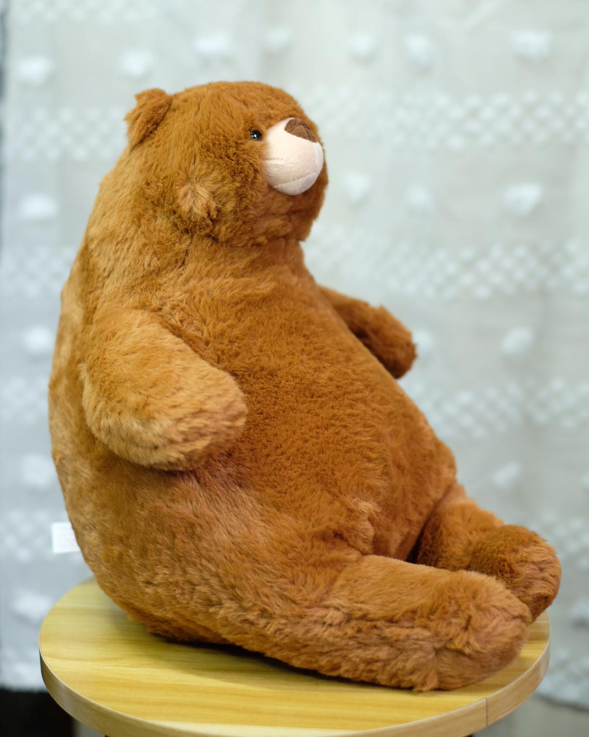Chubby Teddy Bear (Chocolate) — ตุ๊กตาหมีน่ารัก (สีชอกโกแลต)