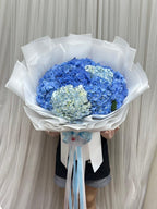 FFF9E058-0E0E-4644-BEAB-CF93D65CFBB6 - BestBloomBuddy