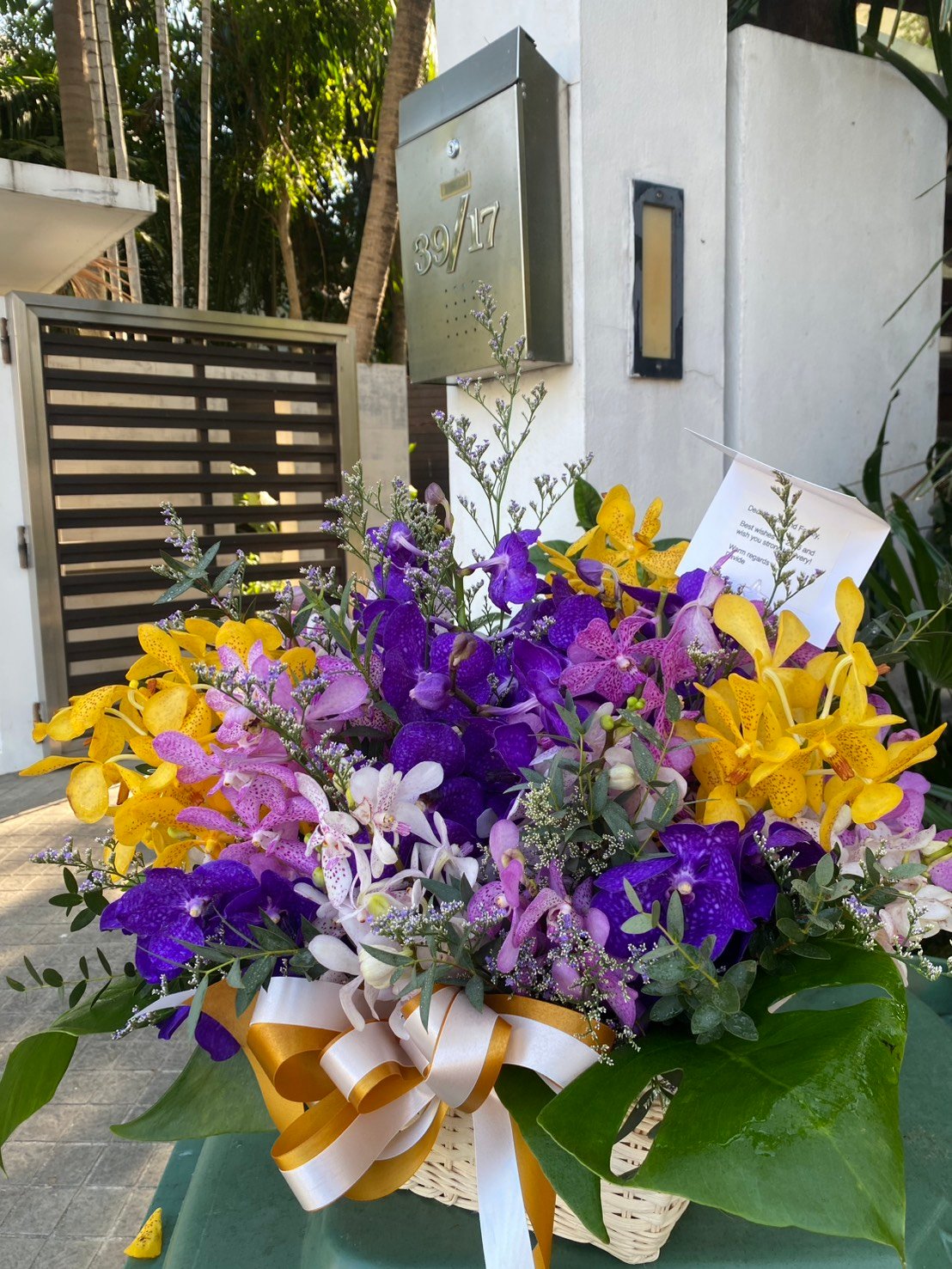 Jungle Jewel – Orchid Basket - BestBloomBuddy