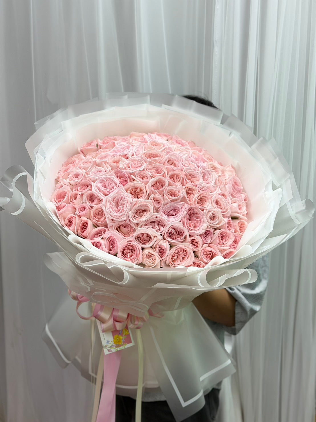Eternal Blossom – 100 Pink Peony Roses (Garden Roses)