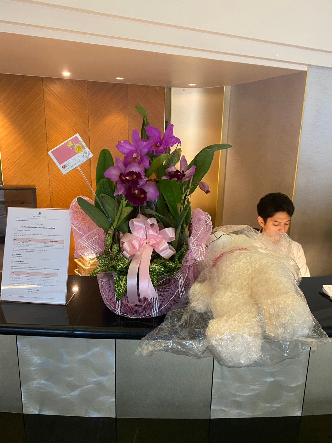 Cattleya Orchid (3–4 plants included) กล้วยไม้แคทลียาในกระเช้าตกแต่งสวยงาม 3-4 ต้น - BestBloomBuddy