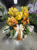 S__2850955 - BestBloomBuddy