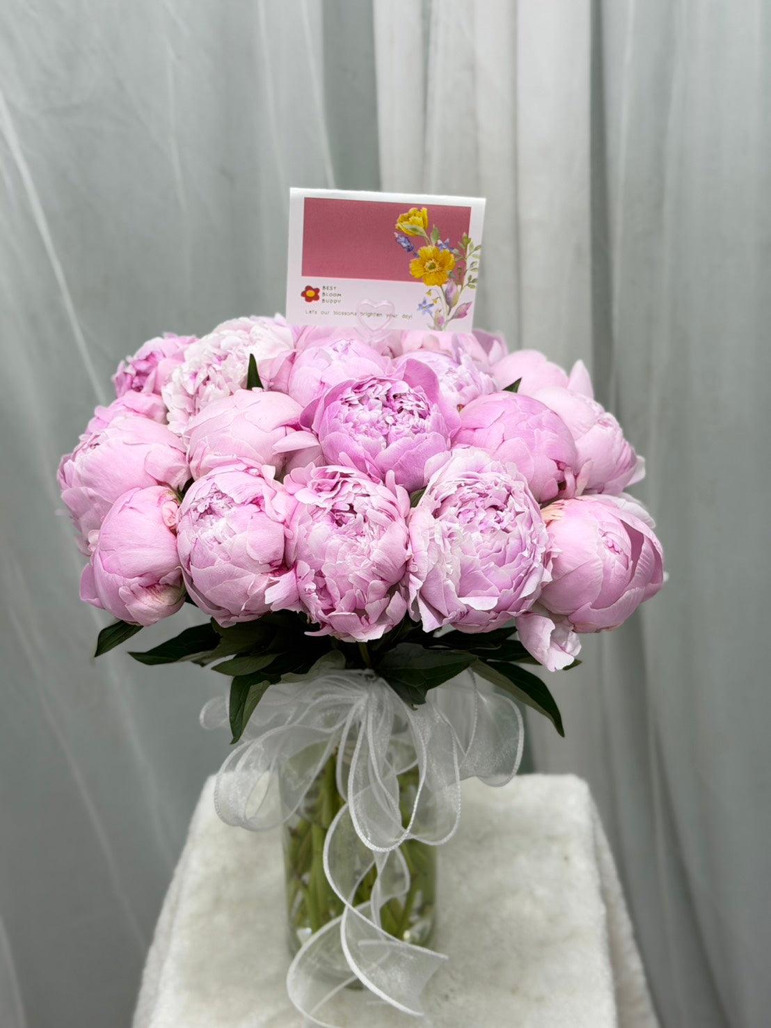 S__3350554 - BestBloomBuddy