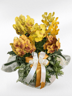 VandaOrchid_6b99f696-d587-4771-a0f9-049d35292915 - BestBloomBuddy