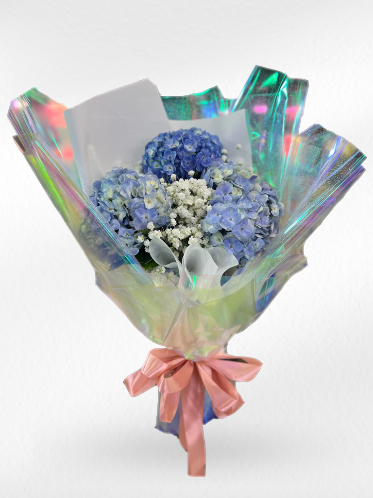 Blue Stardust – Hydrangea & Baby’s Breath Bouquet - BestBloomBuddy
