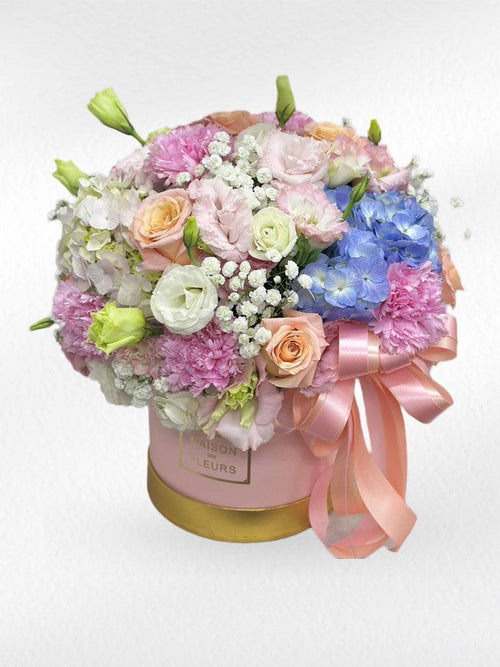 di-cut- box2_29c68250-a8f3-425b-a8c3-1c2a44b00e1e - BestBloomBuddy