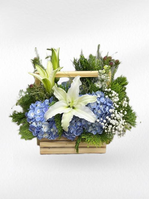 Mom, You Are Precious - Mother's Day Flower - BestBloomBuddy