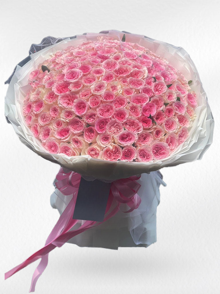 Bridal Bloom – 200 Pink Peony Roses (Garden Roses) - BestBloomBuddy