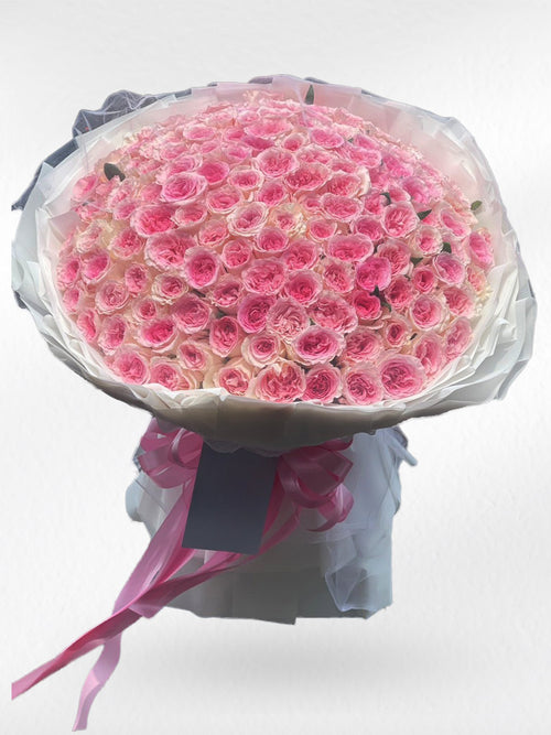 Bridal Bloom – 200 Pink Peony Roses (Garden Roses) - BestBloomBuddy