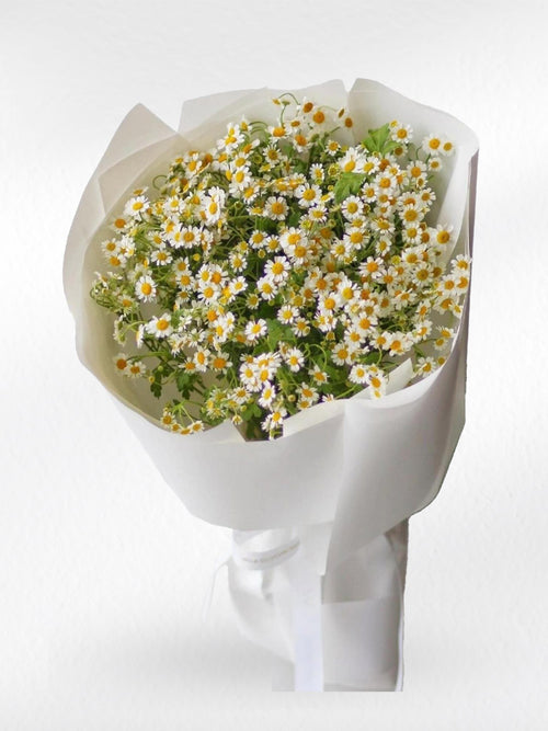 Daisy Darling - Daisy Flower Bouquet - BestBloomBuddy