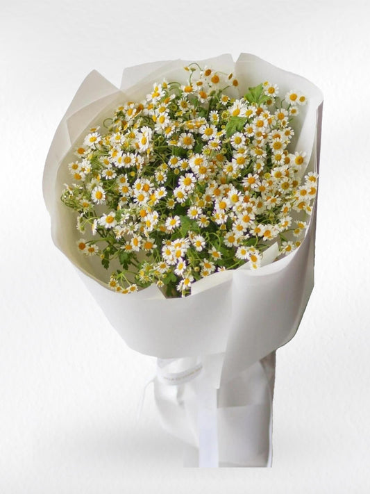 Daisy Darling - Daisy Flower Bouquet