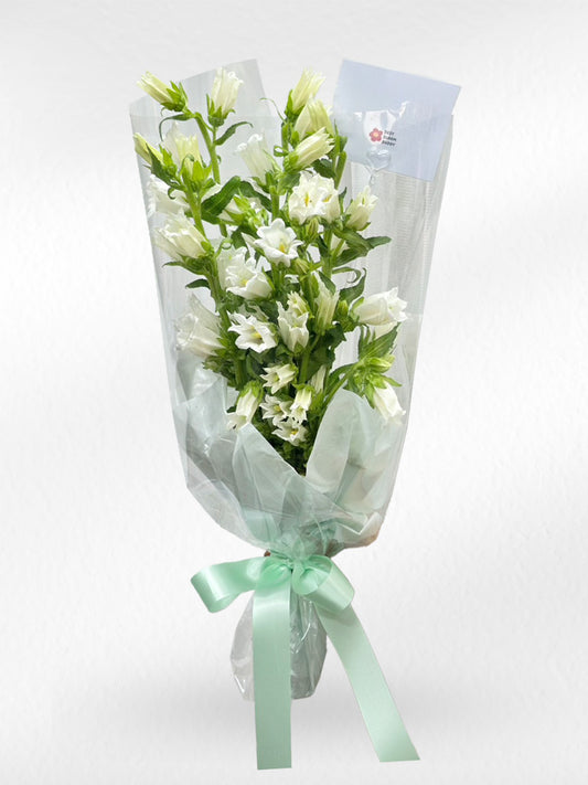 Bell of Joy - White Campanula Bellflower Bouquet - BestBloomBuddy