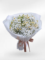 Forever Pretty – Daisy and Baby’s Breath Bouquet - BestBloomBuddy