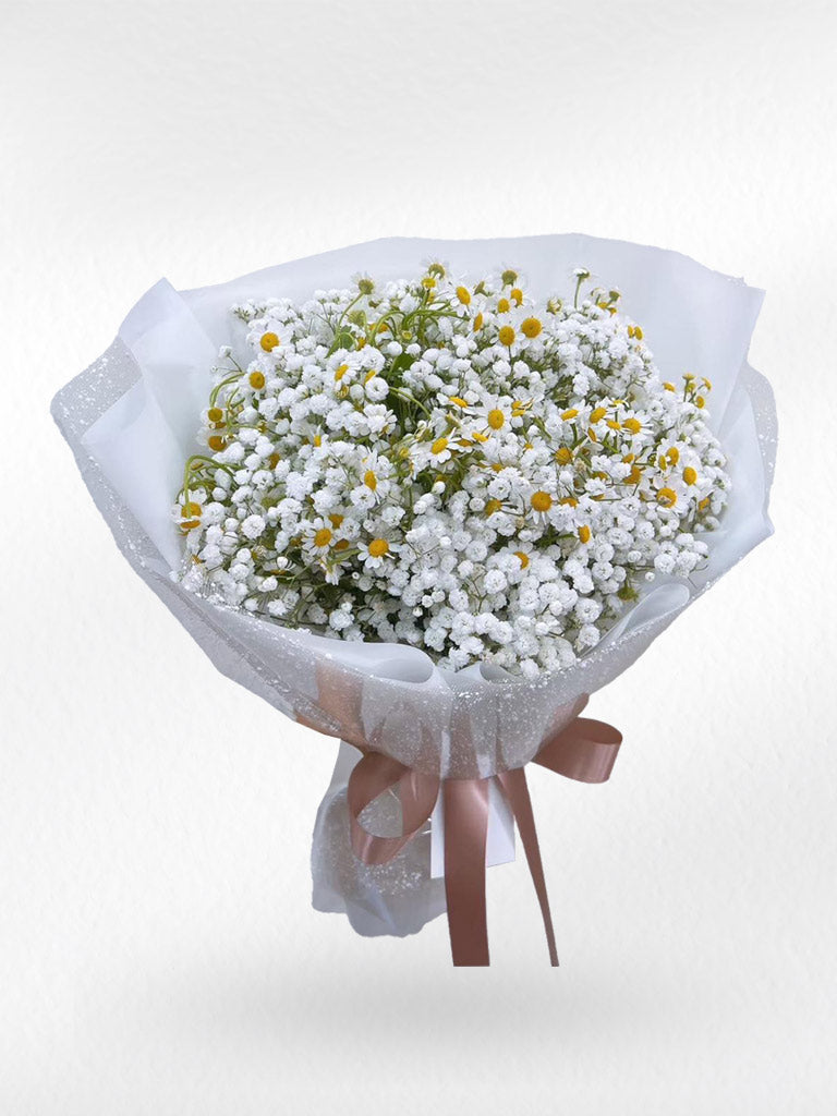 Forever Pretty – Daisy and Baby’s Breath Bouquet - BestBloomBuddy