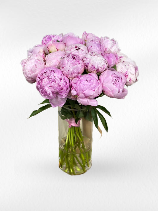 Timeless Grace - Pink Peony Flower Vase