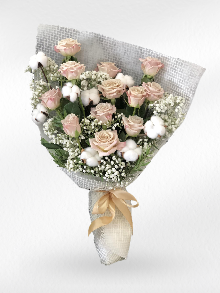 Soft Nest – 12 Cappuccino Roses with Cotton Bouquet - BestBloomBuddy