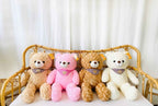 Choco Muffin Teddy Bear — ตุ๊กตาหมีน่ารัก (สีน้ำตาล) - BestBloomBuddy