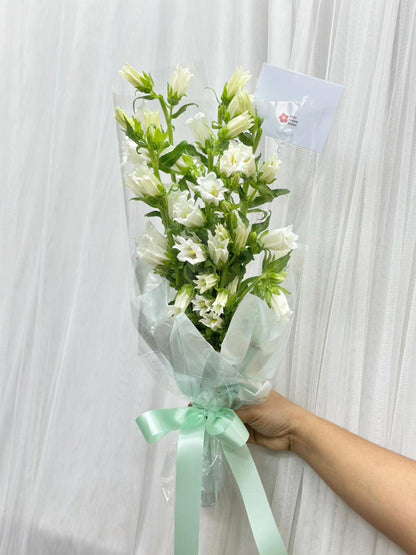 Bell of Joy - White Campanula Bellflower Bouquet - BestBloomBuddy