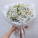 Forever Pretty – Daisy and Baby’s Breath Bouquet - BestBloomBuddy
