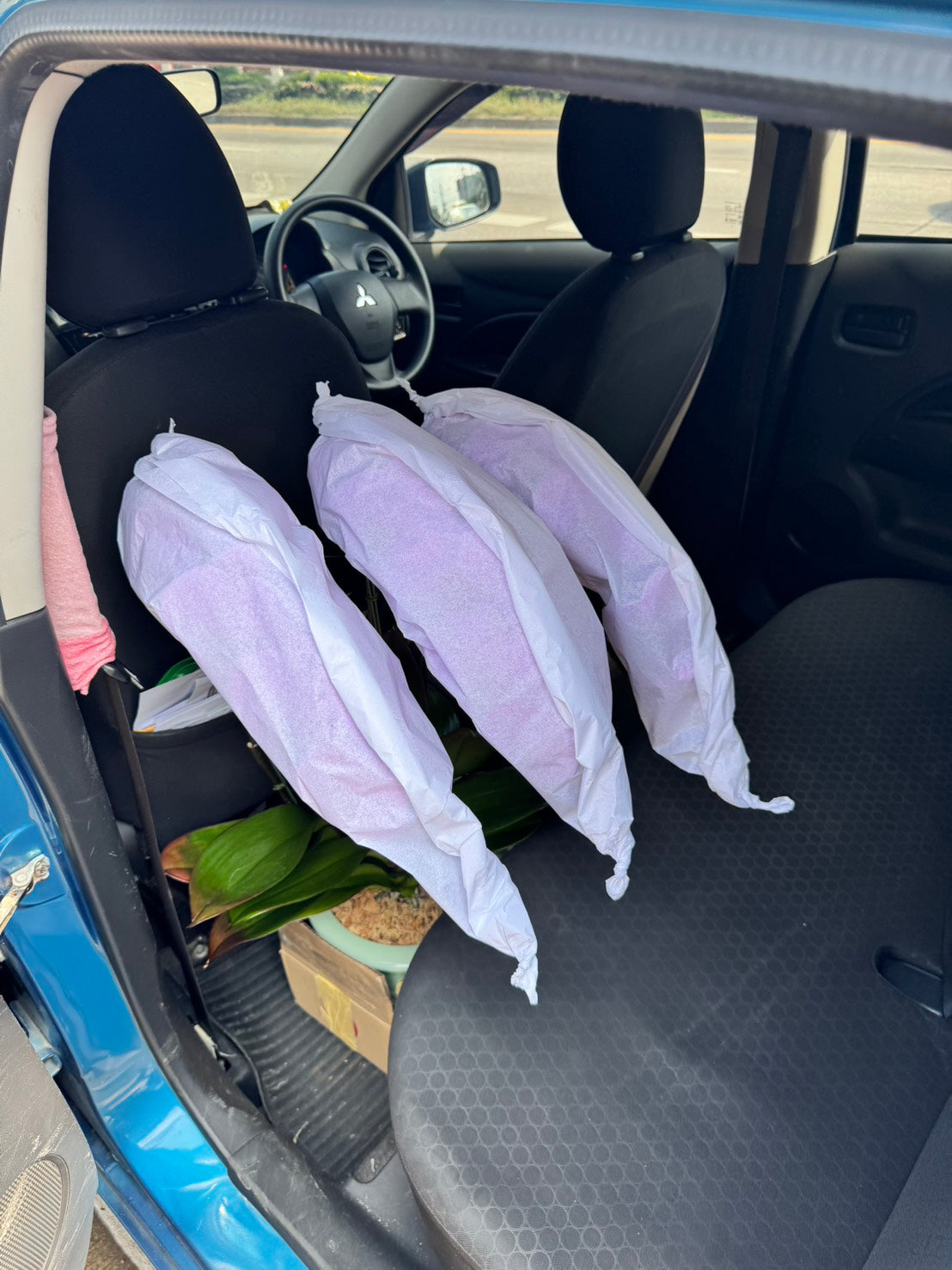 Purple Phalaenopsis Orchid (3 Plants) กล้วยไม้ฟาแลนสีม่วง 3 ต้น จัดกระถาง