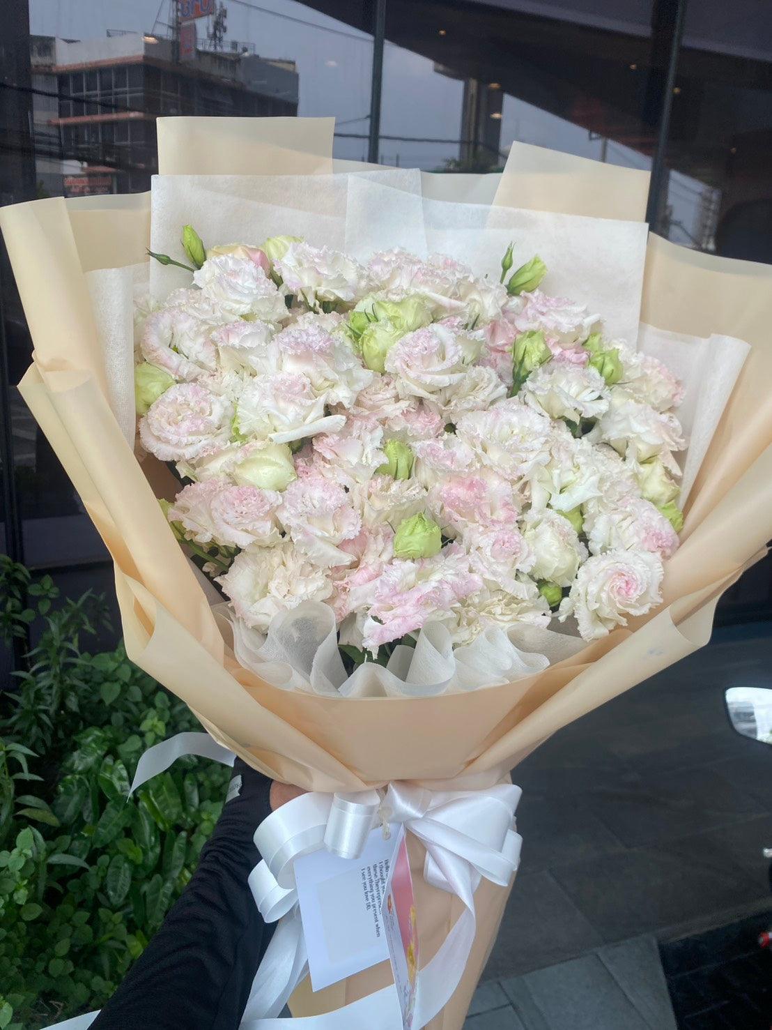 rn-image_picker_lib_temp_533f30c9-5e73-4f56-ba94-fae2ab2e7c76 - BestBloomBuddy