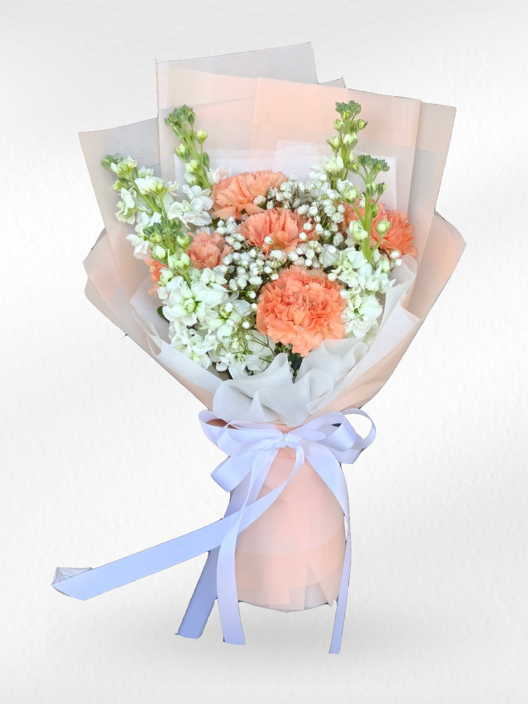 Peach Serenity – Peach Carnation with White Stock Flower Bouquet - BestBloomBuddy